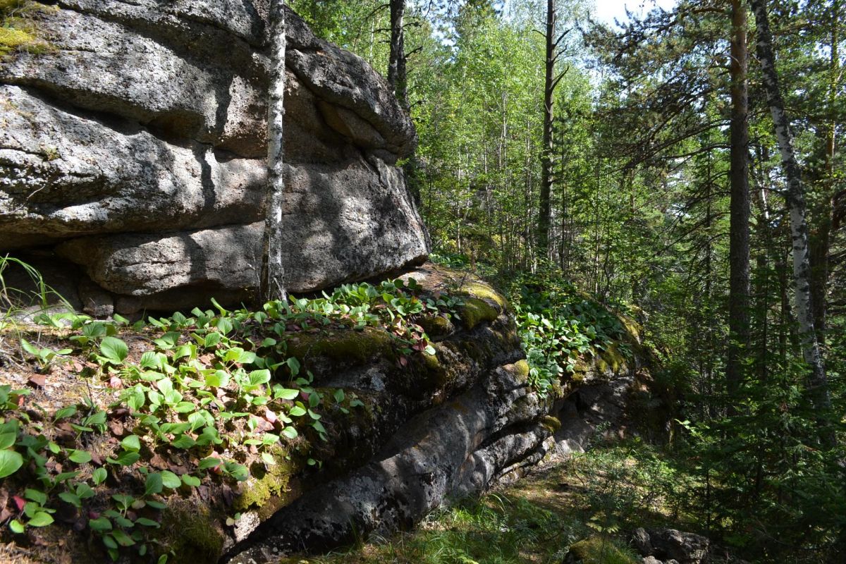Амбарчики